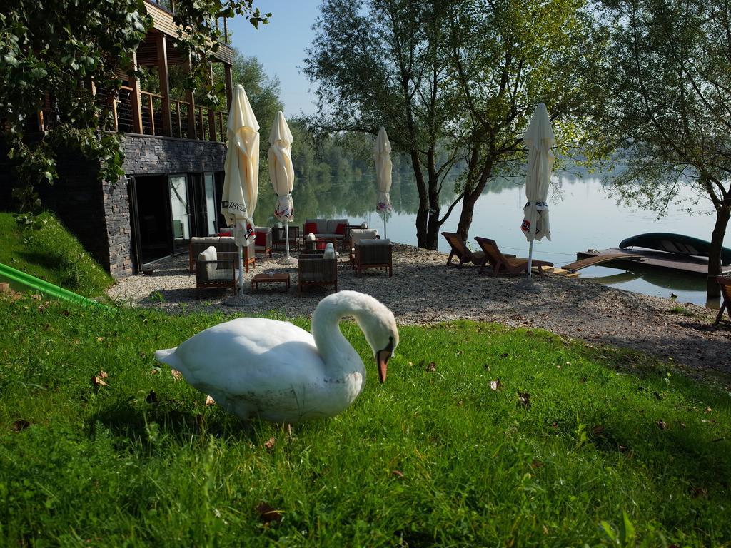 Zagreb Camp Bungalows Rakitje Dış mekan fotoğraf